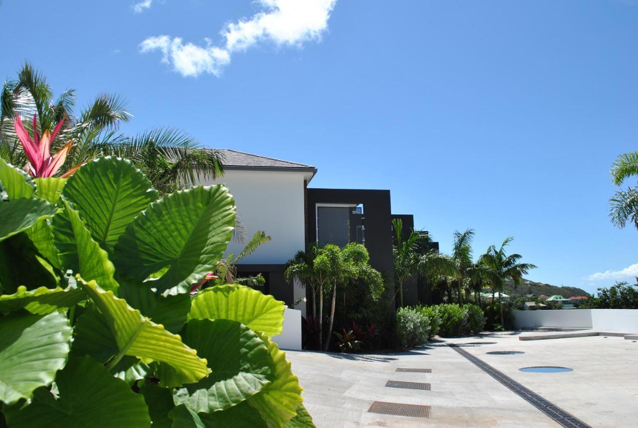 Reve De Saint Barth - Vue Mer - Piscine Chauffee & Jacuzzi Gustavia Exterior photo